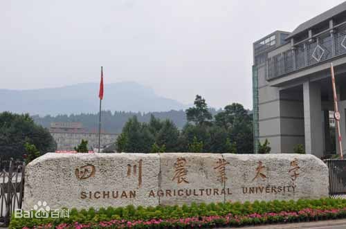 四川农业大学网络教育学院